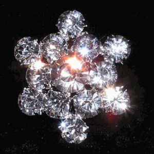 Flower button silver crystal shank Sewing Crafts